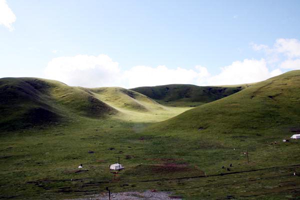 This photo, taken August 3, 2009, shows the gentle slopes of the grassland dotted with white tents. [Photo: CRIENGLISH.com] 