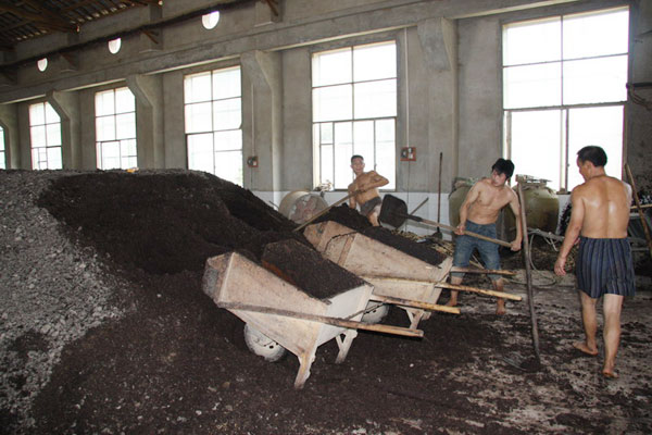 Wine makers in a private wine factory load fermented sorghum. [Photo: CRIENGLISH.com]