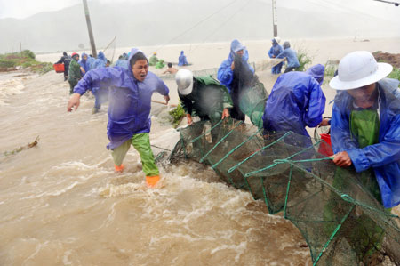 People save cultured mudskippers at Hongshan Village in Xiapu County, southeast China's Fujian Province, Aug. 9, 2009.