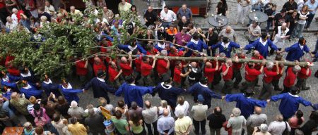  Members of the Meyboom brotherhood carry the Meyboom tree before the planting in central Brussels August 9, 2009.[Xinhua/Reuters]