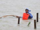 1 dead as typhoon Morakot lands in Fujian
