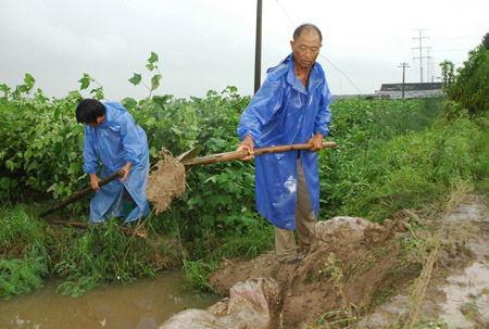 A couple of villagers make barrel-drain for their cotton plants at Donghui Village of Taizhou, east China's Zhejiang Province, Aug. 10, 2009. The local government organized the people in the typhoon-stricken area to rebuild their homes on Monday right after the typhoon faded away. [Wang Tianrong/Xinhua]