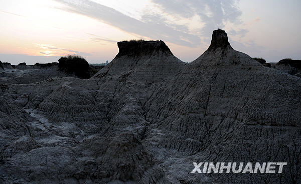 The Qianan mud forest during sunset. [Photo: Xinhuanet]