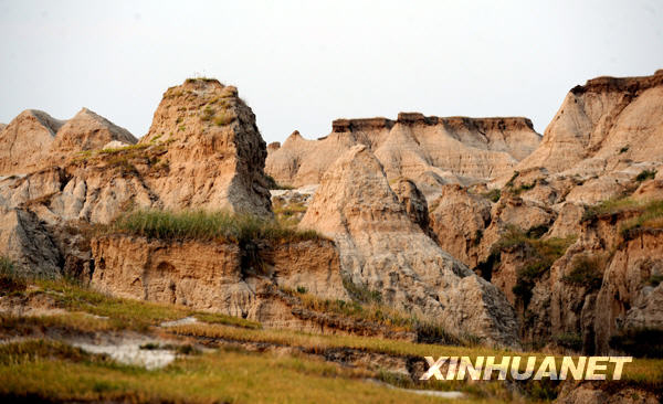 Mud columns rise straight from the ground. [Photo: Xinhuanet] 