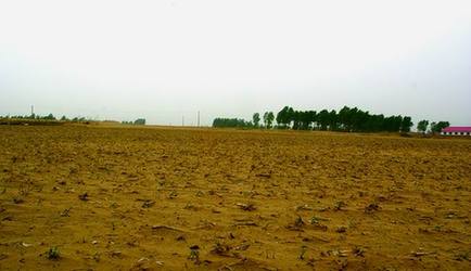 Crops have been threatened by a drought in northeast China's Heilongjiang Province. [heilongjiang.dbw.cn]