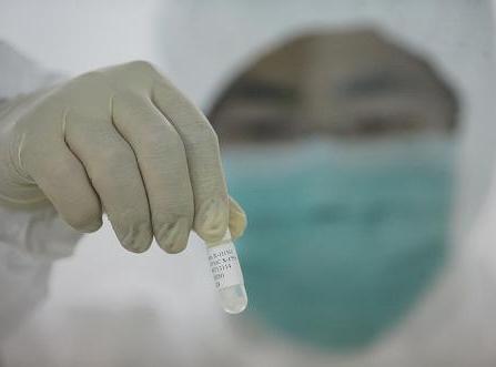 In this June 8 file photo, a researcher with Sinovac Biotech Company begins preparation work for producing A/H1N1 influenza vaccine for human use with the seed lot of flu virus 'NYMCX-179A' in Beijing. [Xinhua] 