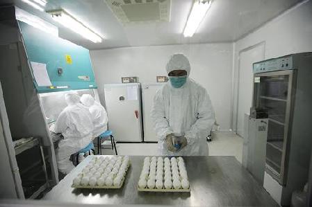In this June 8 file photo, a researcher with Sinovac Biotech Company begins preparation work for producing A/H1N1 influenza vaccine for human use with the seed lot of flu virus 'NYMCX-179A' in Beijing. 
