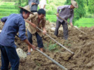 Fujian starts reconstruction after Typhoon Morakot