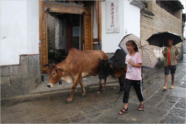 Farming is still a way for people to make a living in Heshun. [Photo: CRIENGLISH.com /Bao Congying]