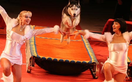 Members of a Russian circus performs in Taizhou Gymnasium in Taizhou, east China's Jiangsu Province, Aug. 17, 2009. (Xinhua/Gu Jun)