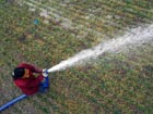 China on alert against drought