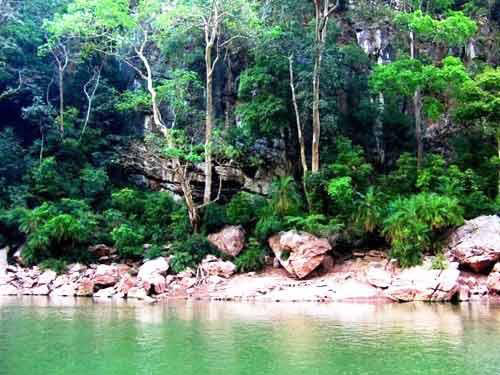 Tropical rainforest of Xishuangbanna, Yunnan