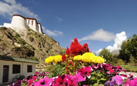 Photo taken on Aug. 22, 2009 shows the flowers with the background of the Potala Palace in Lhasa, southwest China's Tibet Autonomous Region. China on Sunday officially concluded the reparation of three key cultural relics (Xinhua/Chogo) 
