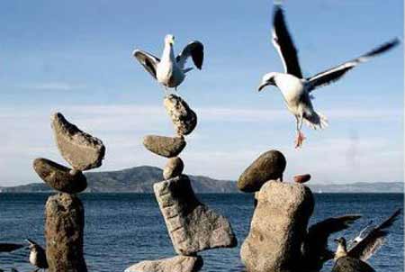 Bill Dan's rock balancing works [CCTV.com]