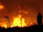 Thousands evacuated as fires reach Athens suburbs