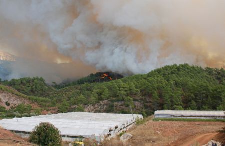 Thick smoke triggered by blaze envelops the sky above a forest in Antalya, Turkey, August 24, 2009.[Anadolu Agency/Xinhua]