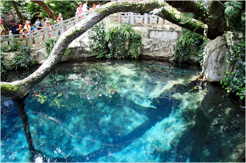 Butterfly Spring located about 30 km (18.5 miles) north of Dali, is a small, clear spring frequented visited by swarms of tourists and, of course, butterflies. Photo of Butterfly Spring is taken on July 30, 2009. [Photo: CRIENGLISH.com/ Xu Liuliu]