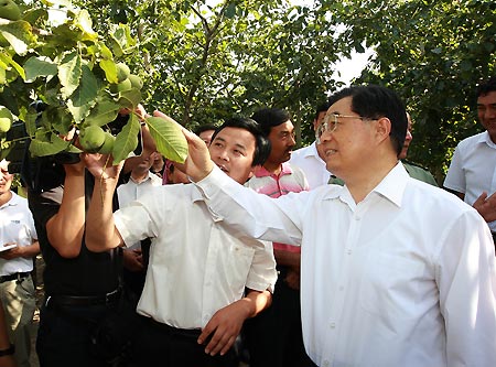 Chinese President Hu Jintao (R, front) inspects the planting of walnuts at a forest farm in Wensu County, Aksu, northwest China's Xinjiang Uygur Autonomous Region, on Aug. 22, 2009. Hu paid an inspection tour to the region from Aug. 22 to Aug. 25. [Ju Peng/Xinhua]
