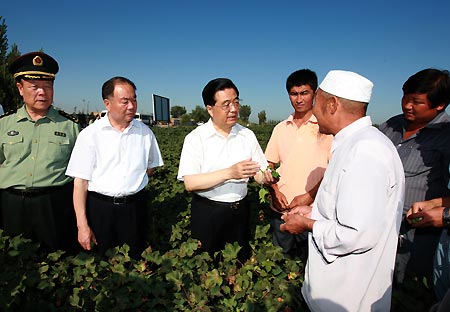 Chinese President Hu Jintao (C) inspects the planting of cotton in Manas County, Hui Autonomous Prefecture of Changji, northwest China's Xinjiang Uygur Autonomous Region, on Aug. 24, 2009. Hu paid an inspection tour to the region from Aug. 22 to Aug. 25. [Ju Peng/Xinhua]
