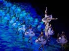 'Water Cube' version of the ballet 'Swan Lake' wrapped up