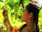 Xinjiang celebrating Grape Festival