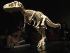 International Summit of Paleontological Art opens in Brazil