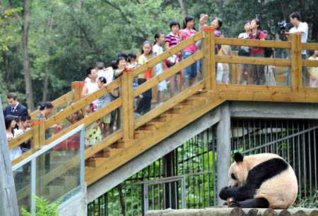 Citizens and tourists watch giant panda 'Yangyang' eating bamboo in a zoo of the Seven Star Scenic Area in Guilin, south China's Guangxi Zhuang Autonomous Region, on Aug. 27, 2009. Many citizens and tourists came to the zoo to see 'Yangyang' as it will be transfered back to the Sichuan Wolong Panda Protection and Research Center. [Chen Ruihua/Xinhua] 
