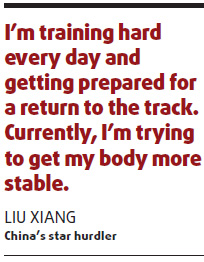 Liu still beloved despite troubled year