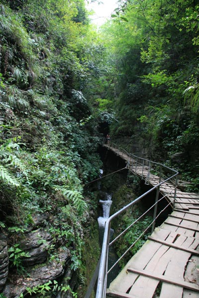 The wooden stairway in Tianlong Canyon, Hunan Province, is narrow and frail. [Photo:CRIENGLISH.com/ Duan Xuelian]