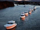 2009 Sydney International Boat Show