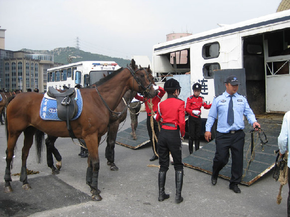 Mounted policewomen at the 2009 Summer Davos Meeting in Dalian, northeast China&apos;s Liaoning Province. The meeting from Sept.10 to Sept.12 attracts over 1,300 participants from 86 countries. [Catherine Guo / China.org.cn]