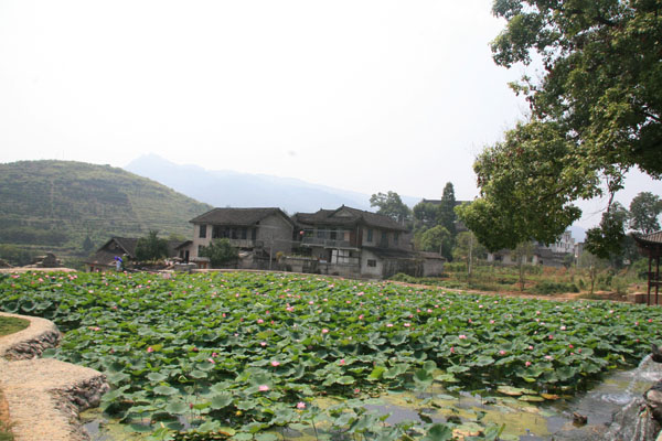 A lotus pond sits in front of the central square of Hibiscus Town. [Photo:CRIENGLISH.com/Duan Xuelian] 