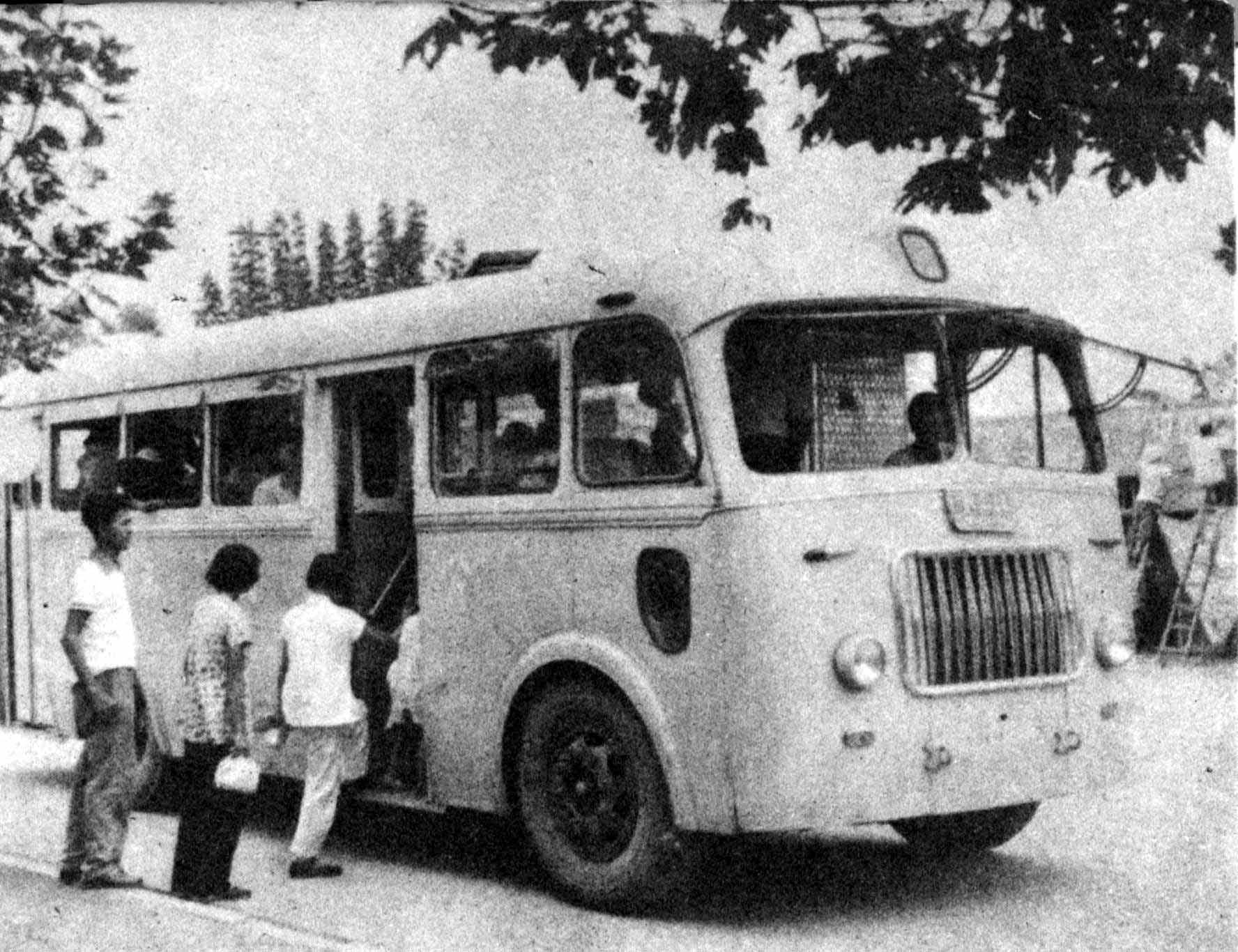 There were very few buses in the 1950s.