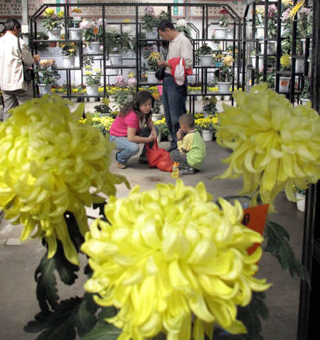 Residents enjoy the flowers at an arboretum in Urumqi, northwest China's Xinjiang Uygur Autonomous Region, on Saturday, Sept. 12, 2009. [Shen Qiao/Xinhua]