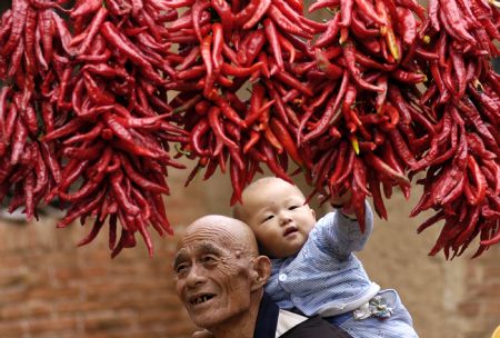An old man, with grandson on his back, walks past hot peppers hung on the wall in Houhao Village of Juye County, east China's Shandong Province, Sept. 14, 2009. Strings of hot pepper can be seen everywhere in the county as there is bumper harvest this year.(Xinhua Photo)