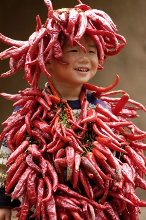 A boy plays with strings of hot peppers in Houhao Village of Juye County, east China's Shandong Province, Sept. 14, 2009. Strings of hot pepper can be seen everywhere in the county as there is bumper harvest this year.(Xinhua Photo)