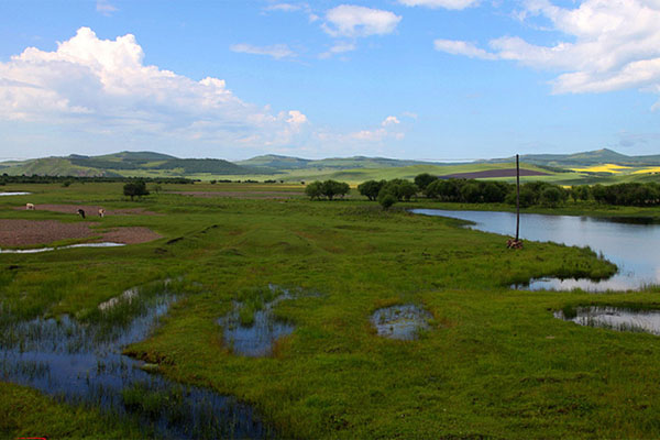 The Argun river running along the China and Russian border in northeastern China's Heilongjiang province has nurtured numerous wetlands in the region. Rich in wild animal and plant life, the wetlands serve as a conditioner of the local natural ecosystem. [Photo: travel.sohu.com] 