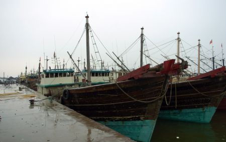 Ships anchor at the Qinglan Port in Wenchang, south China's Hainan Province, on Sept. 14, 2009. 