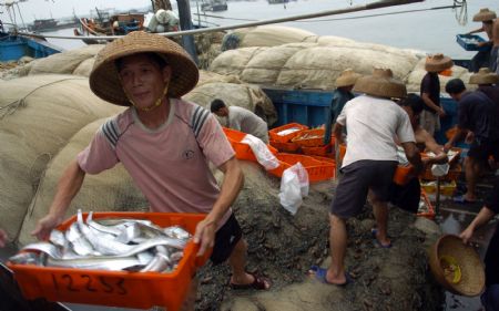 Fishermen unload their boats at the Qinglan Port in Wenchang, south China's Hainan Province, on Sept. 14, 2009.(