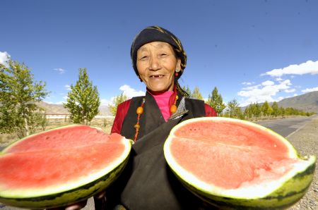 A villager shows the watermelon she planted in Xigaze, southwest China's Tibet Autonomous Region, on Sept. 17, 2009.(Xinhua/Purbu Zhaxi)