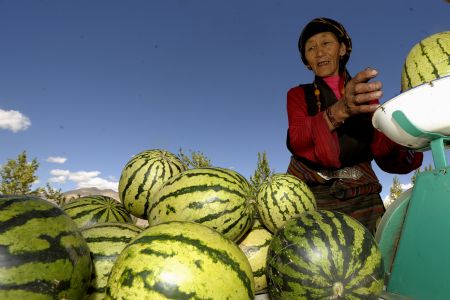 A villager sells watermelons she planted on a road in Xigaze, southwest China's Tibet Autonomous Region, on Sept. 17, 2009.(Xinhua/Purbu Zhaxi)