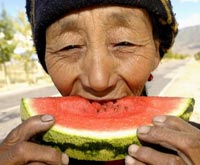 Taste sweet watermelon from Tibet! 