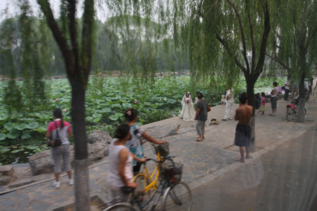 A photo taken on August 15 shows visitors in front of a lotus pool at South Lake Park in Tangshan city, in north China's Hebei province on August 15, 2009.[chinadaily.com.cn]