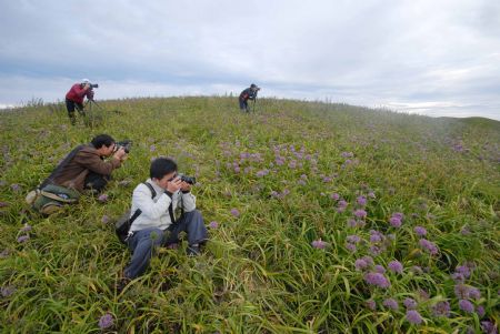 Tourists take photos for the blossoming leek plants in Hezhang, southwest China's Guizhou Province, Sept. 22, 2009. A leek flower cultural festival opened on Tuesday in Hezhang county that grows wild leek plants of more than 30 square kilometers.(Xinhua) 