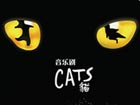 'Cats' pounces on Beijing again