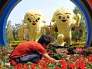 7th China Flowers Expo to kick off in Beijing