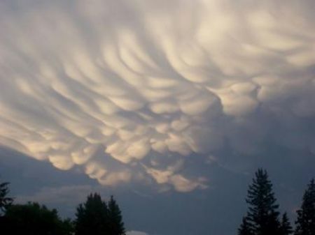 Mammatus from Hamiota, Canada. These are pouch-like cloud structures and a rare example of clouds in sinking air. They are usually seen after the worst of a thunderstorm has passed. (Source: CCTV.com) 