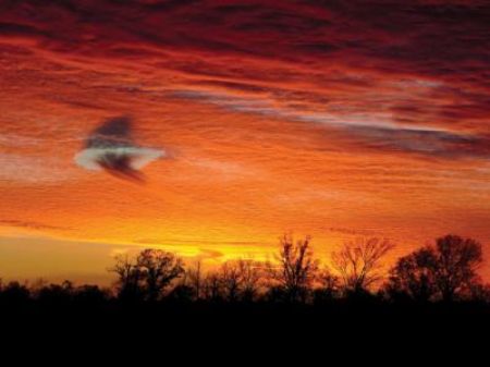 Fallstreak holes like this captured in Florida, are large circular gaps that can appear in cirrocumulus or altocumulus clouds. The holes are formed when the water temperature in the clouds is below freezing but the water has not frozen yet.(Source: CCTV.com)