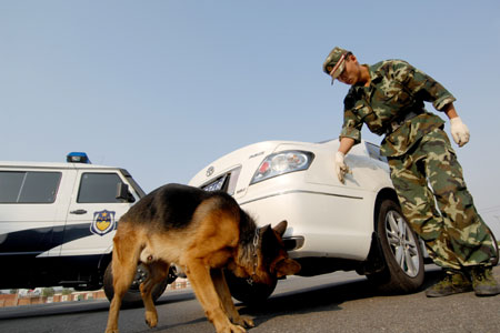 A dog checks a car during an anti-explosive drill in Dandong city of northeast China's Liaoning Province, Sept. 24, 2009. The border police of Dandong city held an anti-explosive drill to improve their skills on Thursday. (Xinhua/Yao Jianfeng)