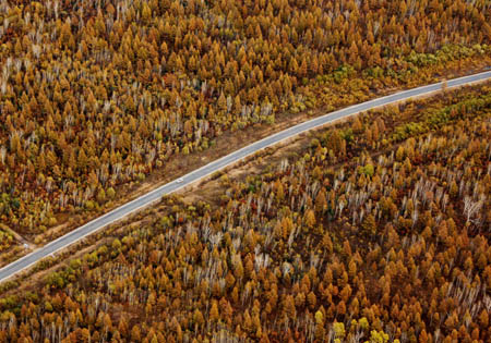 Aerial photo taken on Sept. 23, 2009 shows the scenery of the Greater Khingan range in north China's Inner Mongolia Autonomous Region. The local eco-environment has witnessed a great improvement thanks to the local government's efforts to restore the eco-system. [Wang Yongji/Xinhua]